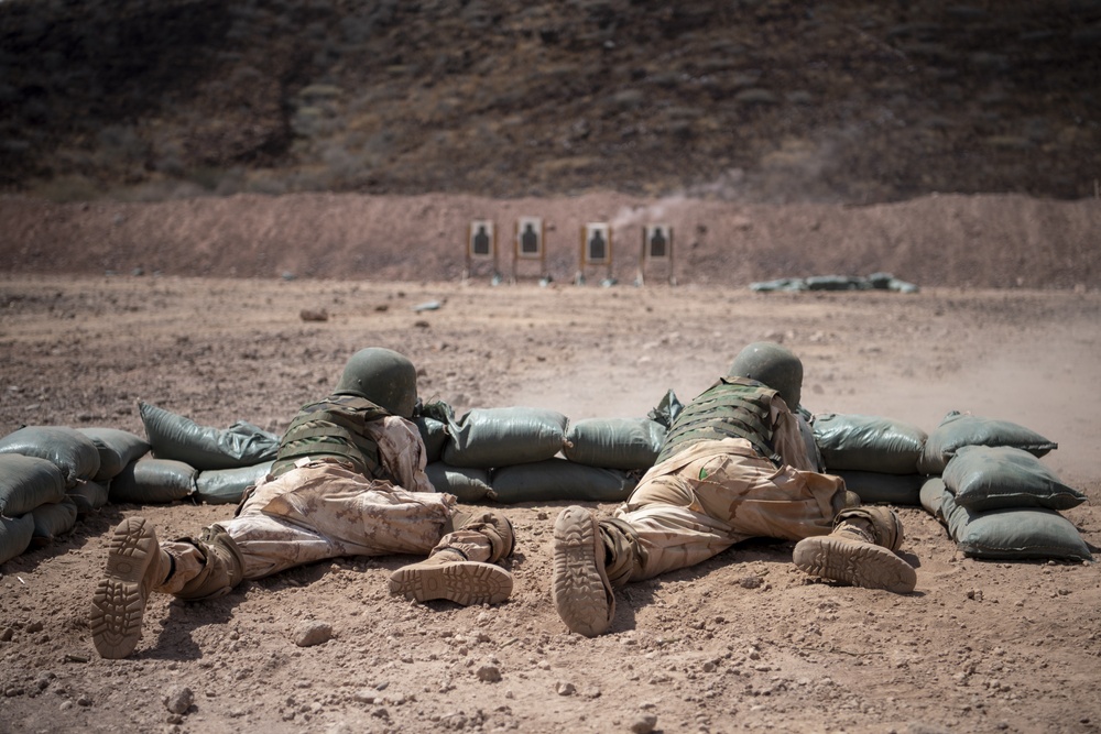 SFAB teaches BIR platoon level tactics