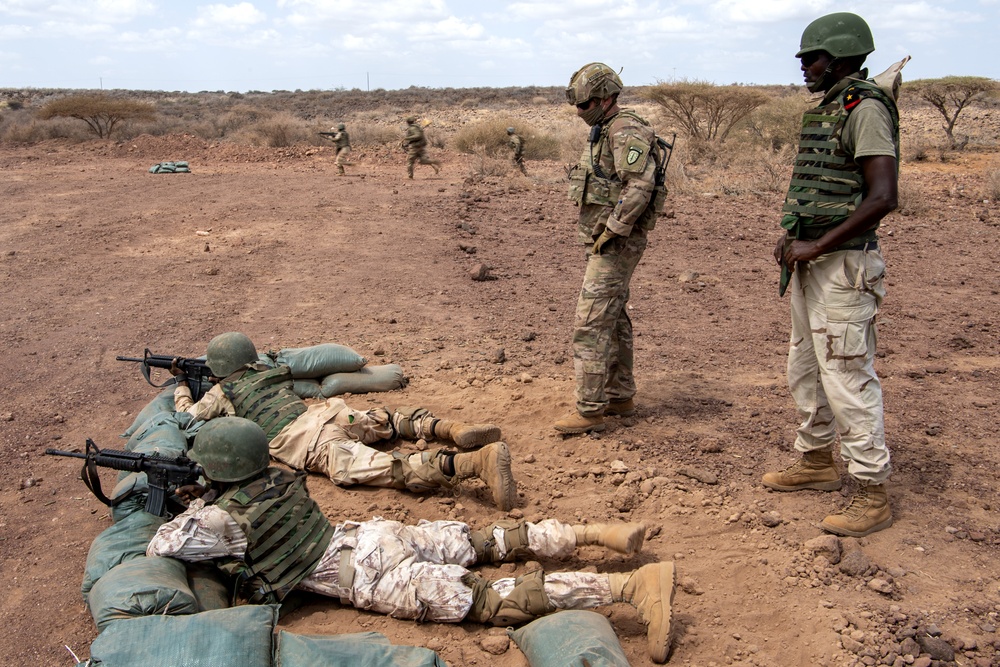 SFAB teaches BIR platoon level tactics