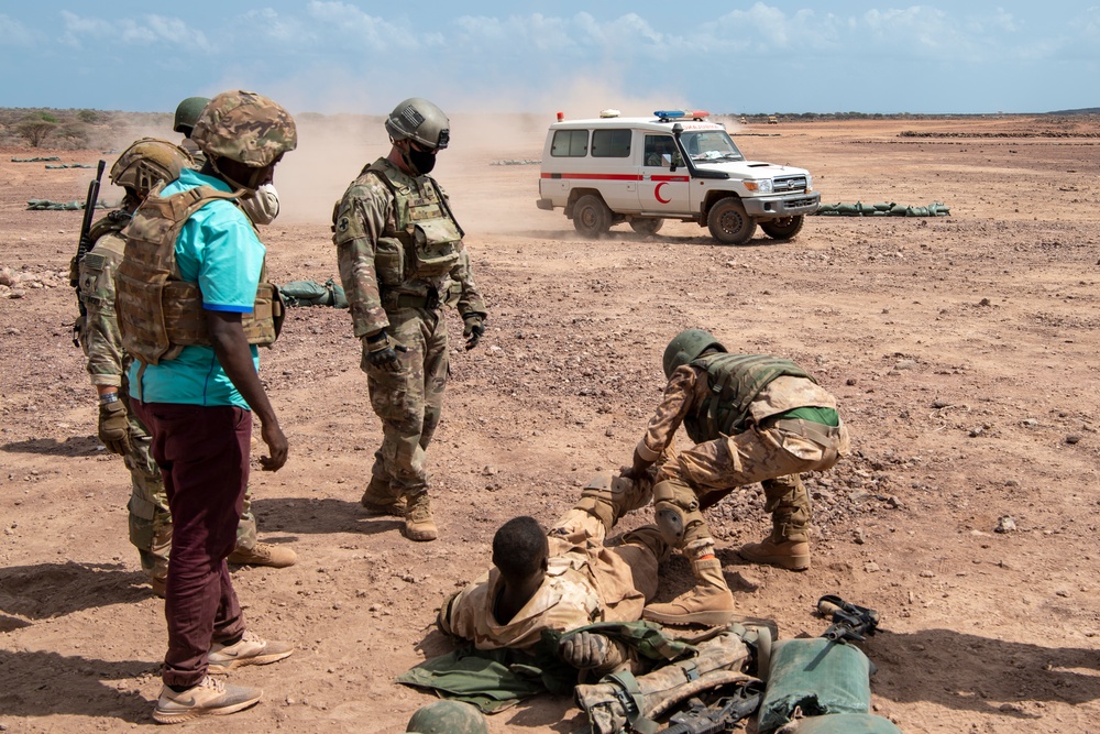 SFAB teaches BIR platoon level tactics