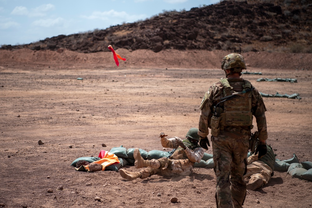 SFAB teaches BIR platoon level tactics