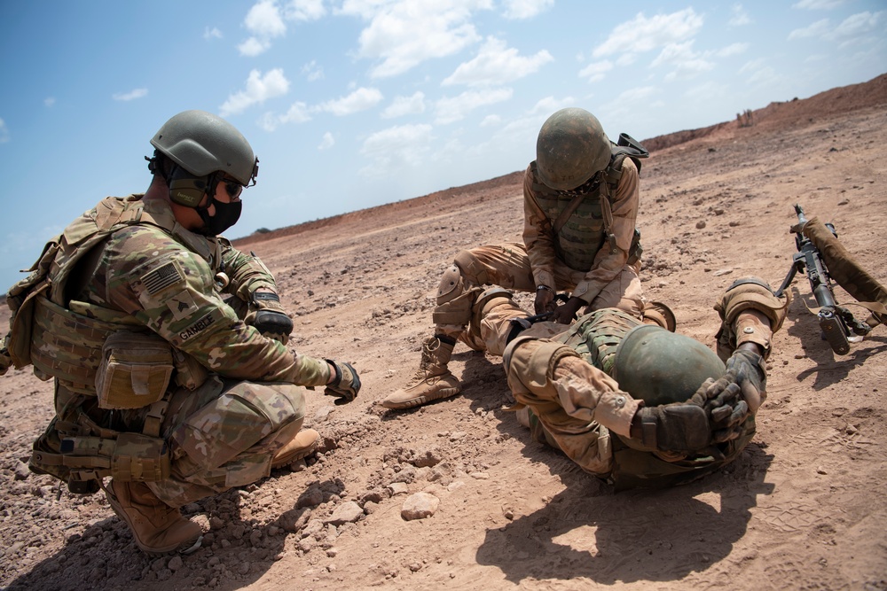 SFAB teaches BIR platoon level tactics