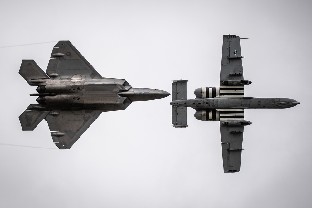 Raptor Soars Over Stuart