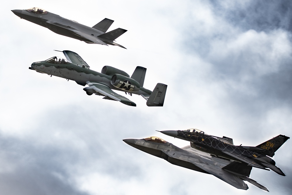 Raptor Soars Over Stuart