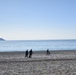 Scout swimmers survey Numazu Beach
