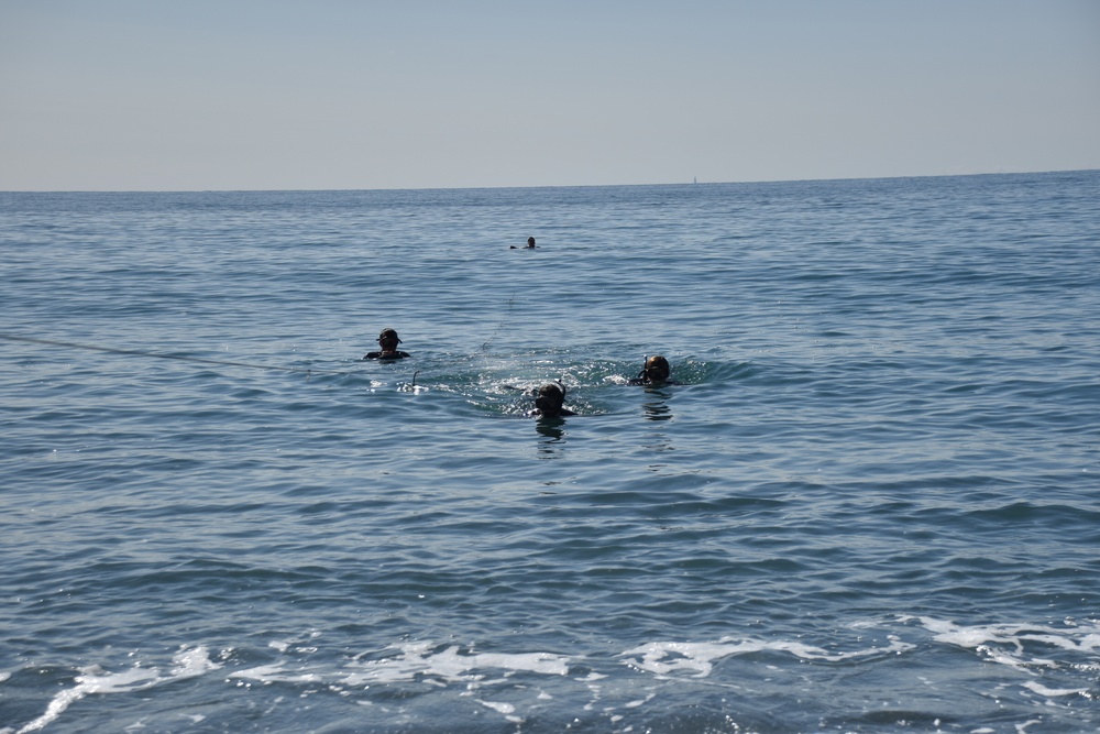 Scout swimmers survey Numazu Beach