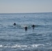 Scout swimmers survey Numazu Beach