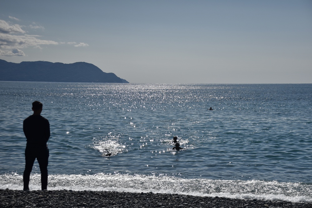 Scout swimmers survey Numazu Beach