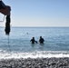 Scout swimmers survey Numazu Beach
