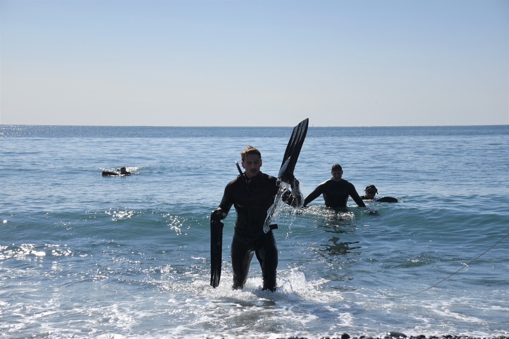Scout swimmers survey Numazu Beach