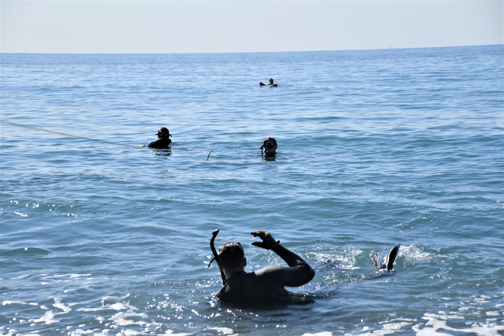 Scout swimmers survey Numazu Beach