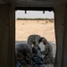Airmen and Soldiers Participate in Mortuary Affairs Exercise