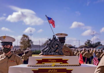 Cake Cutting Ceremony