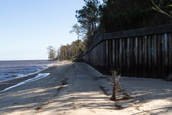 MCAS Cherry Point Shoreline Restoration [Image 2 of 4]