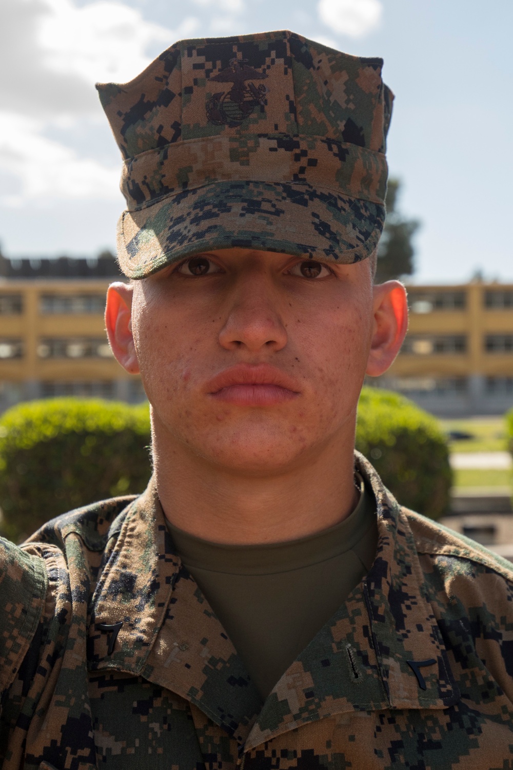Delta Company Honorman