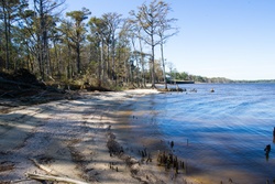 MCAS Cherry Point Shoreline Restoration [Image 4 of 4]