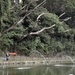 Camp Zama trout fishing derby a hit with families