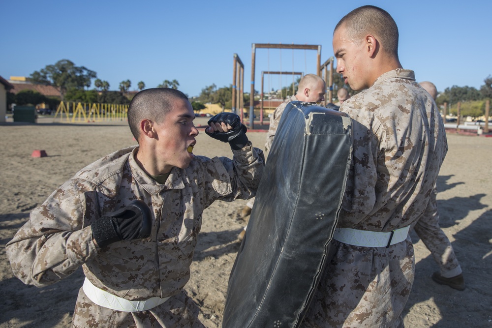 Fox Company Confidence Course