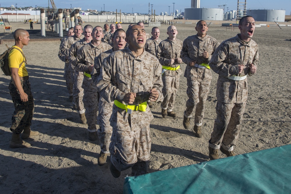 Fox Company Confidence Course