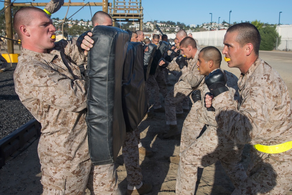 Fox Company Confidence Course