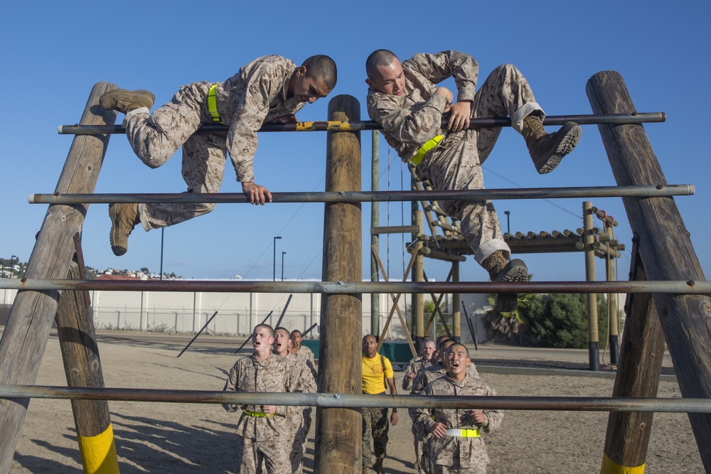 Fox Company Confidence Course