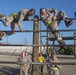 Fox Company Confidence Course