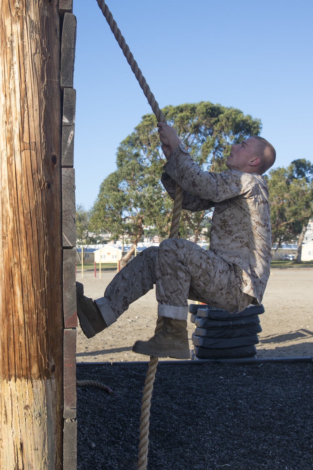 Fox Company Confidence Course