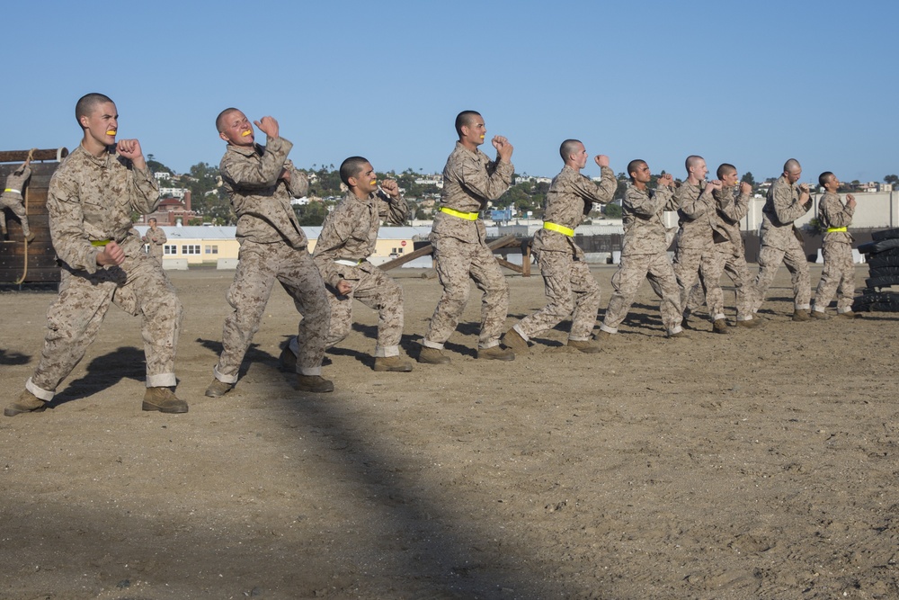 Fox Company Confidence Course
