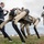 Computerized Canines to join Team Tyndall
