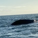 Coast Guard, partner agencies search for 2 missing from overturned vessel