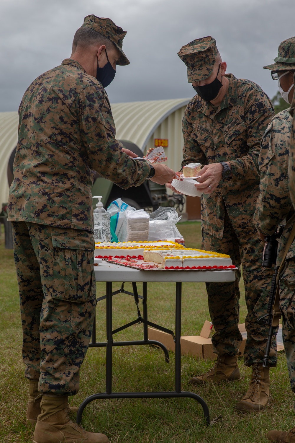 245th Marine Corps Birthday