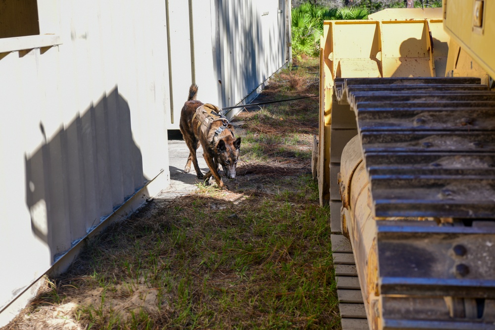 Hurlburt Field’s EOD and DAGRE conduct full training exercise