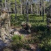 Hurlburt Field’s EOD and DAGRE conduct full training exercise