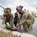 A Day to Remember: Veterans Day 2020