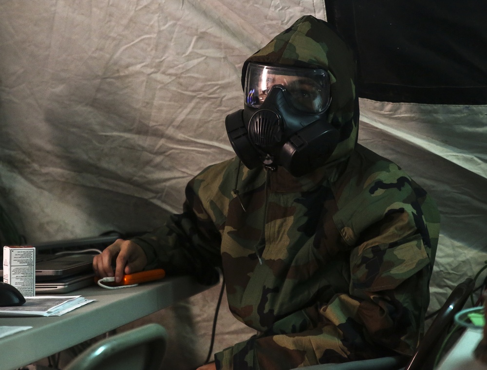 II MEF Celebrates the Marine Corps Birthday in MOPP Gear