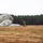 Sweden and U.S. Strengthen Air Capabilities During Swedish-led Bilateral Exercise A military parachute drop landing zone scene showing multiple parachutes that have already landed on an open grassy field. At least two personnel in military camouflage uniforms are visible managing their parachutes post-landing. The setting appears to be a temperate region with a dense conifer and deciduous tree line in the background under overcast skies.