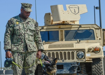 CLDJ's Department in the Spotlight - Security Forces