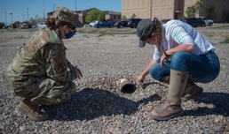 A win, win situation