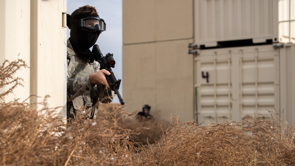 Combat Skill Training