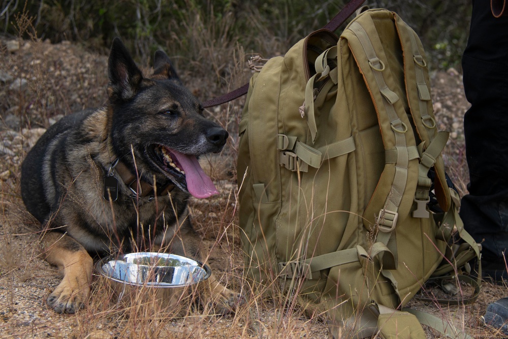 Defenders Participate in the 13th Annual Fallen Defender Ruck