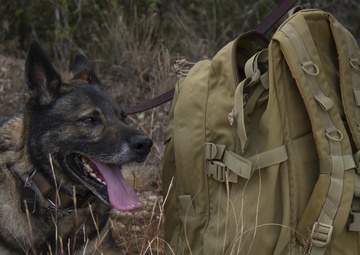 Defenders Participate in the 13th Annual Fallen Defender Ruck