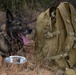 Defenders Participate in the 13th Annual Fallen Defender Ruck