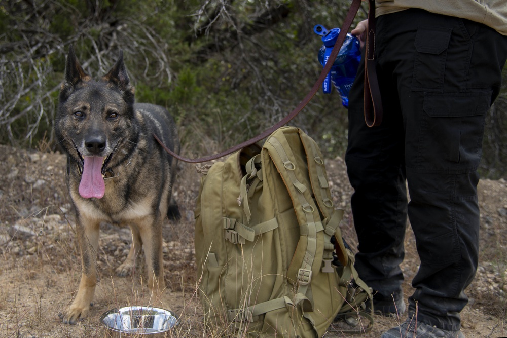 Defenders Participate in the 13th Annual Fallen Defender Ruck