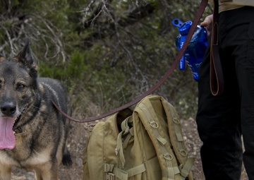 Defenders Participate in the 13th Annual Fallen Defender Ruck
