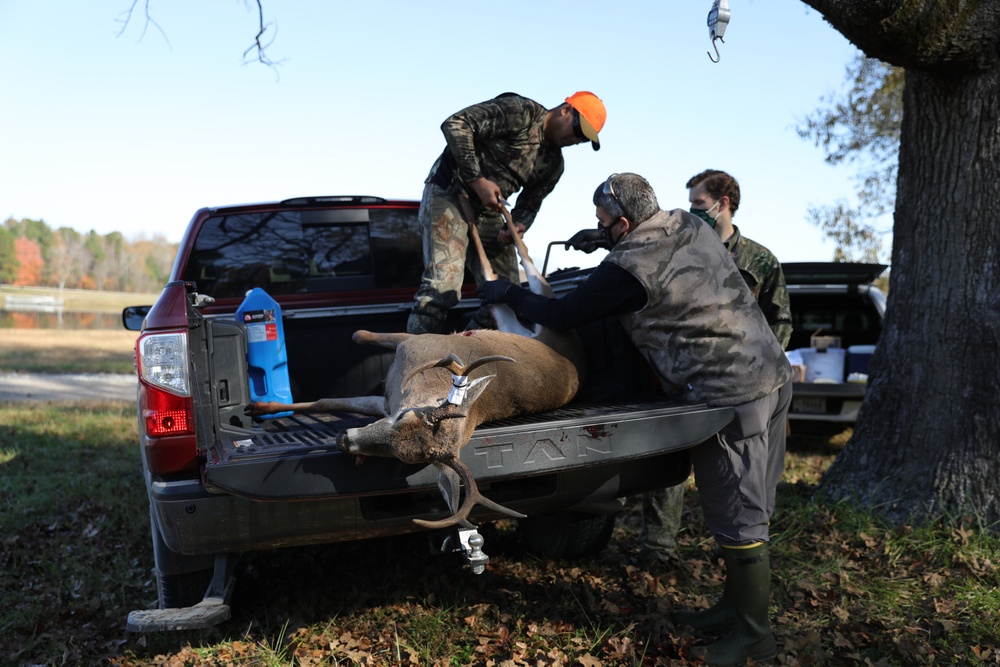 CG Deer HUnt