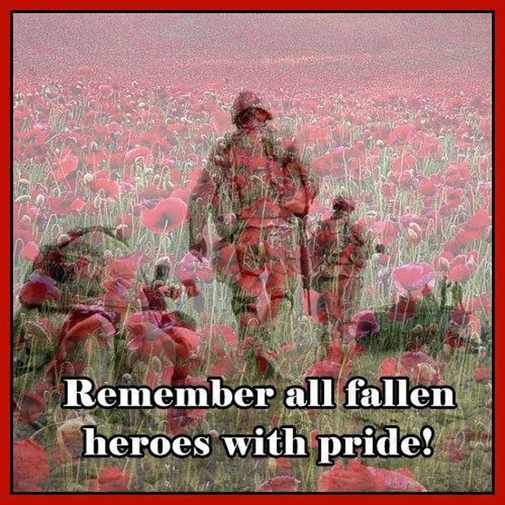 Flowers, remembrance and the art of war