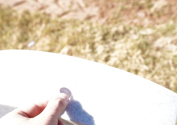 Soldiers and Veterans come together virtually to honor the fallen