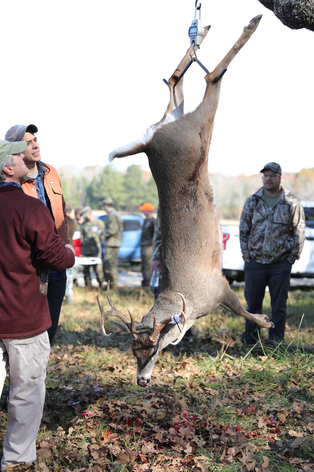CG Deer Hunt