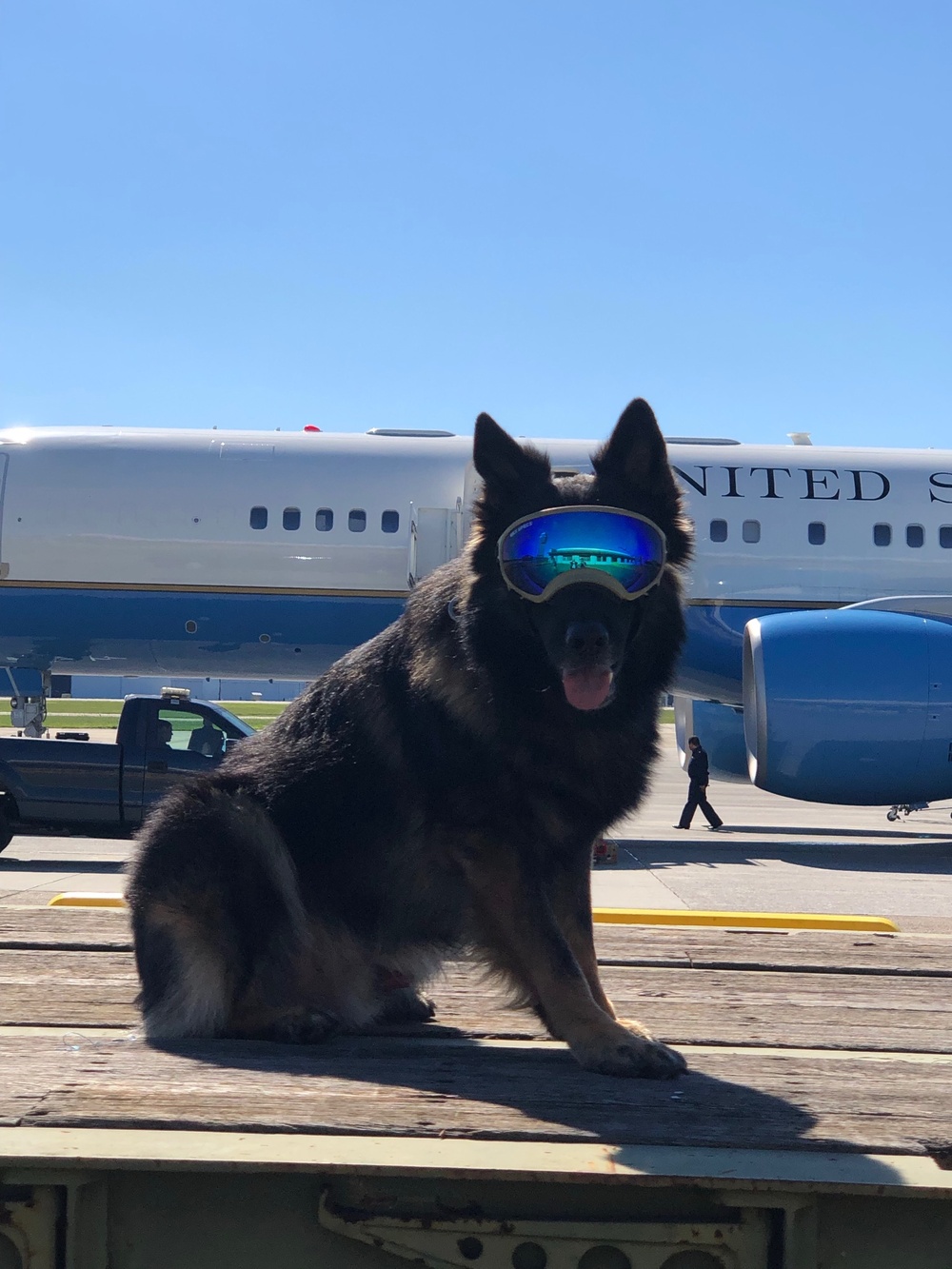 MWD Bruno on a mission