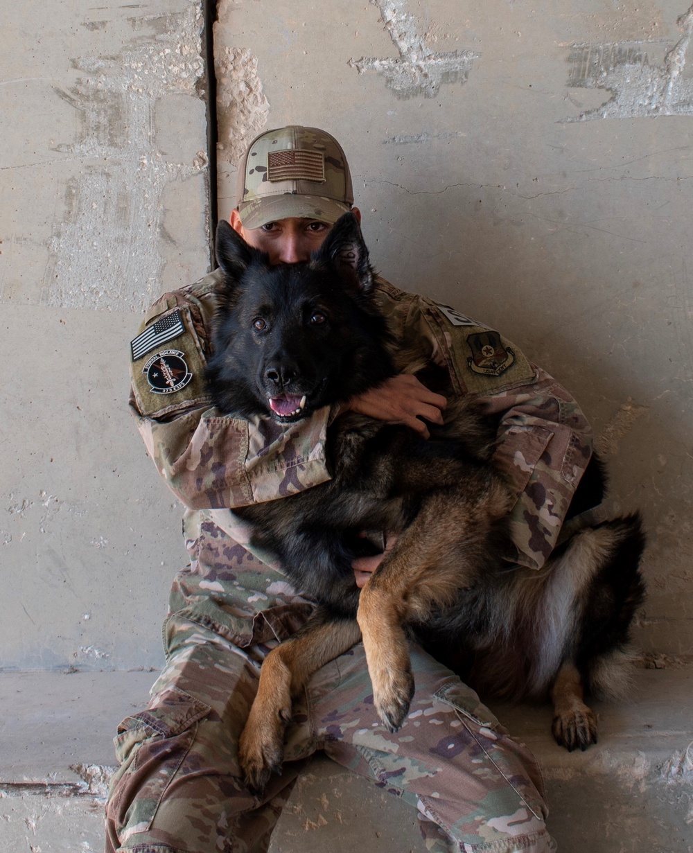 MWD handler and MWD