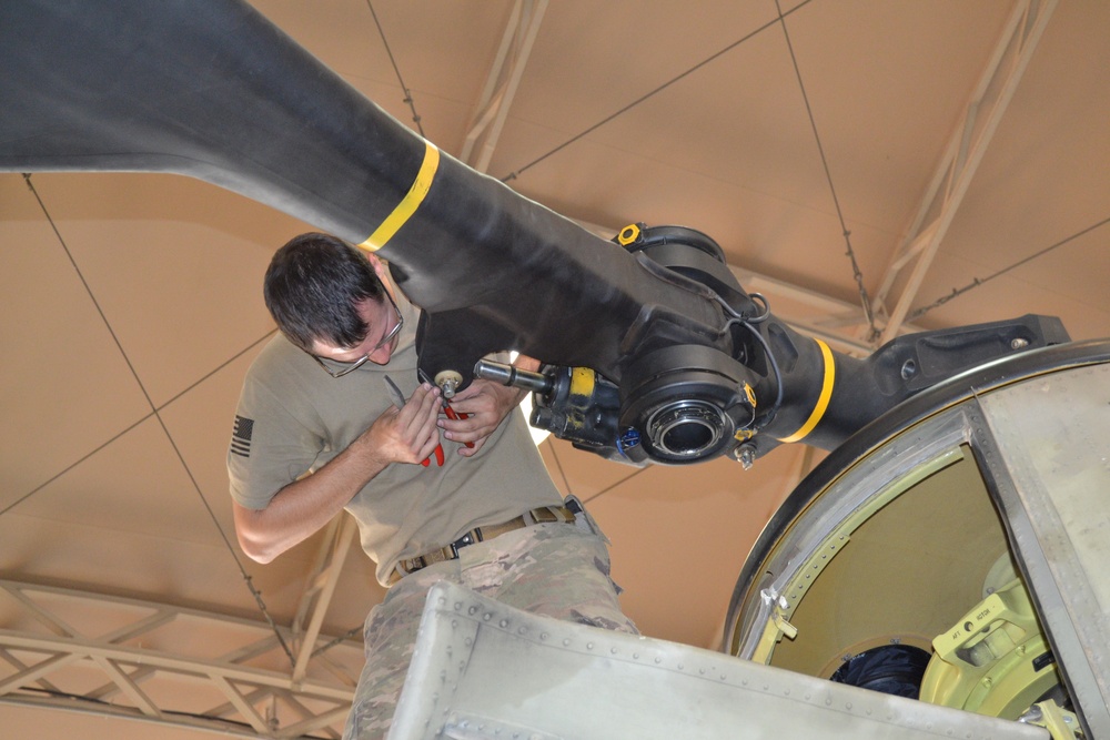 Chinook maintenance